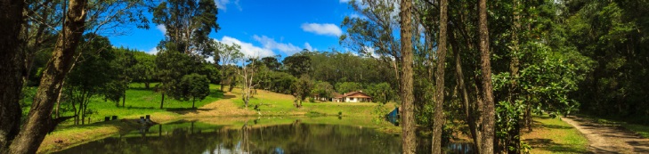 A imagem mostra uma bela paisagem natural, provavelmente de uma zona rural ou de campo. Em primeiro plano, há um pequeno lago ou espelho de água, rodeado por árvores altas e vegetação densa. O reflexo das árvores na água contribui para a tranquilidade da cena. À direita, vê-se um caminho de terra batida que atravessa a floresta. Ao fundo, no centro da imagem, há uma casa com telhado de telha, rodeada por relvados verdes e mais árvores, sugerindo um ambiente acolhedor e isolado, ideal para descanso ou turismo rural. O céu está azul com algumas nuvens brancas, indicando um dia ensolarado.