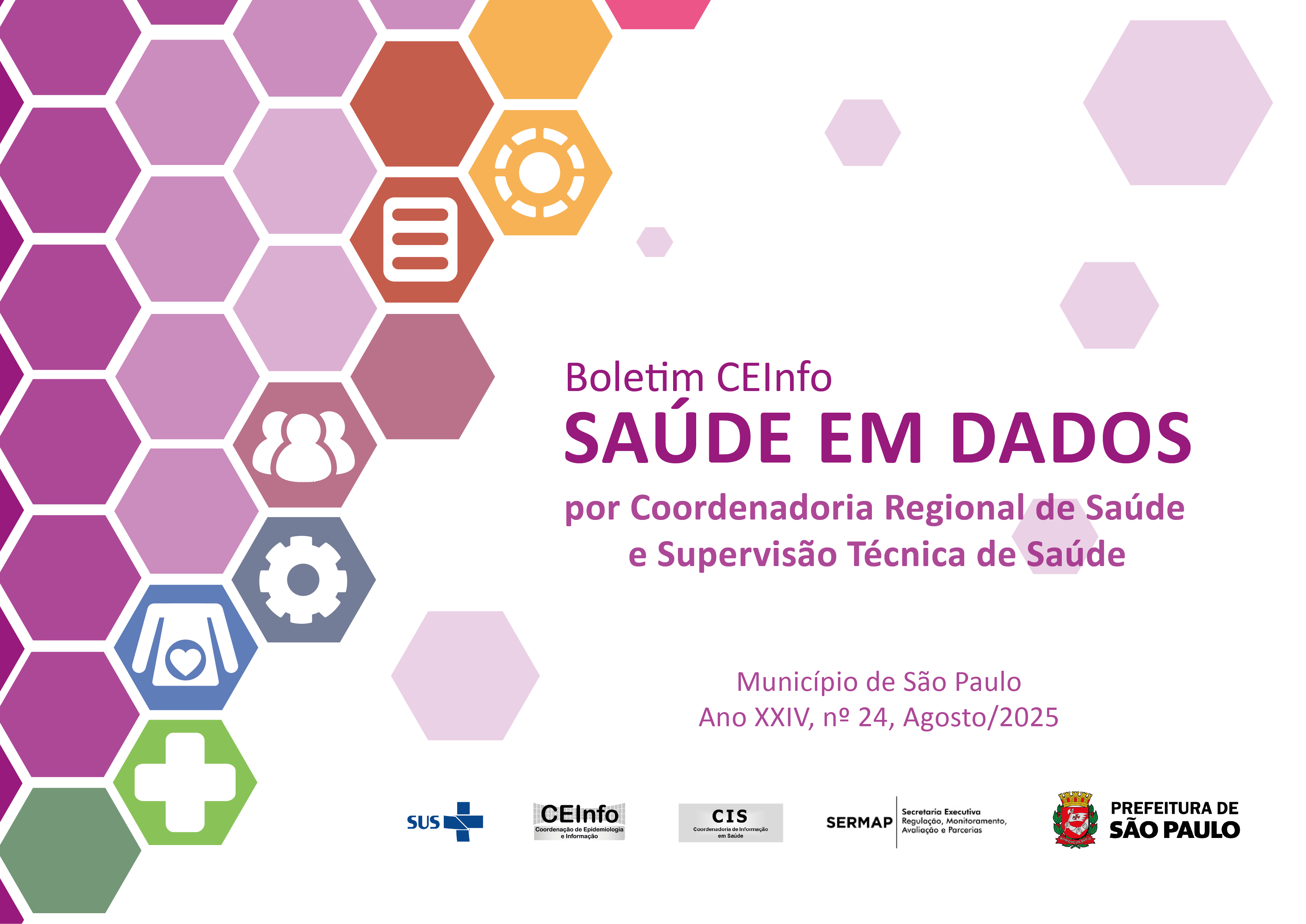 Capa Boletim CEInfo Saúde em Dados 2024