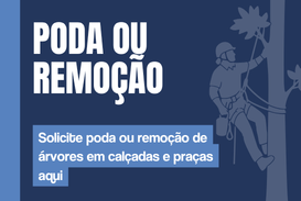 A imagem possui um fundo azul-escuro com uma faixa vertical azul-claro no lado esquerdo. No canto superior esquerdo, destaca-se o texto 